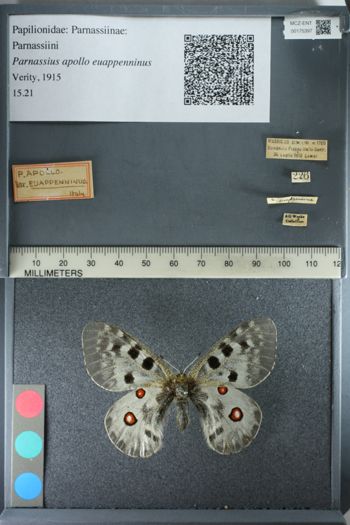 Media type: image;   Entomology 175397